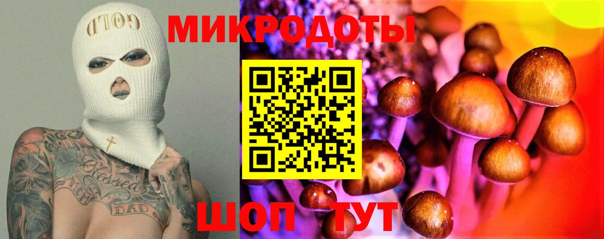 Ковров  Псилоцибиновые грибы Cubensis  Вход с VPN 